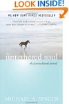 The Untethered Soul: The Journey Beyo...