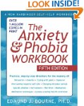 The Anxiety and Phobia Workbook