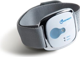 BodyMedia LINK Armband Weight Management System