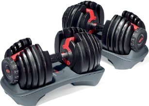 Bowflex SelectTech 552 Adjustable Dumbbells (Pair)