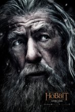 The Hobbit: The Battle of the Five Armies (2014)