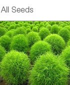 All Seeds