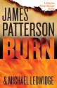 Burn (Michael Bennett, Book 7)