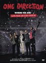 One Direction: 'Where We Are' Live from San Siro Stadium