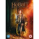 The Hobbit: The Desolation of Smaug [DVD] [2013]