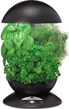 Miracle-Gro AeroGarden 3-Pod Indoor Garden with Gourmet Herb Seed Kit, Black