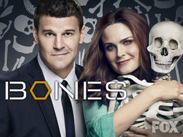 Bones Season 10 [HD]