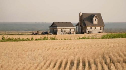 Kansas field