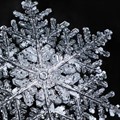 Winter Wonderland: Don Komarechka's snowflakes