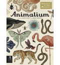 Animalium