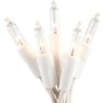 Everglow 2980-22 100 Clear White Wire Light Set