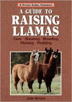 A Guide to Raising Llamas by Gail Birutta