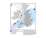 Consultation opens on new Marine Conservation Zones