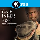 Your Inner Fish