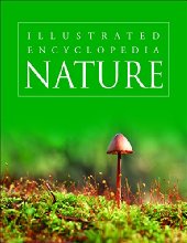 Nature: 1 (Encyclopedia)