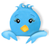 Twitter Bird