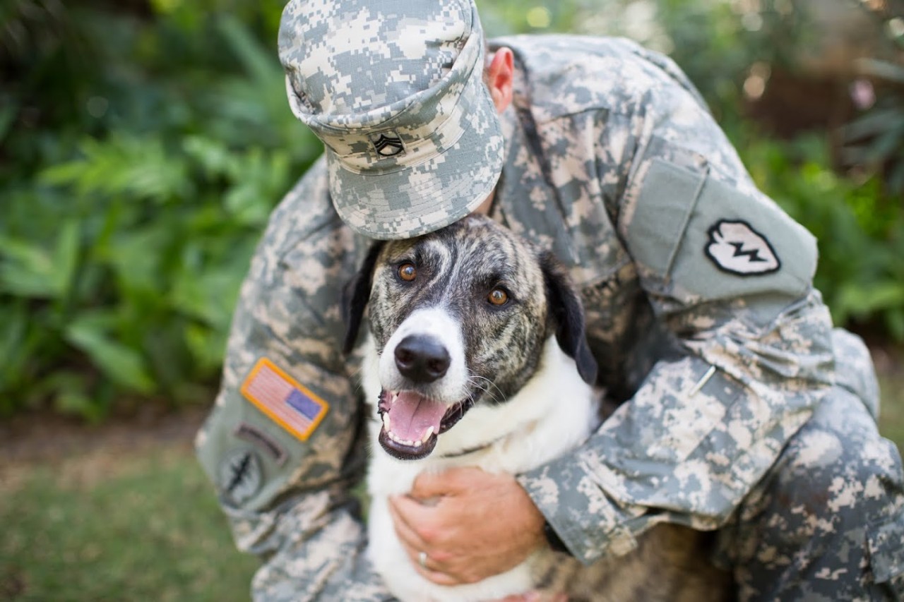 10 Volunteer Opportunities Where You Can Cuddle Animals