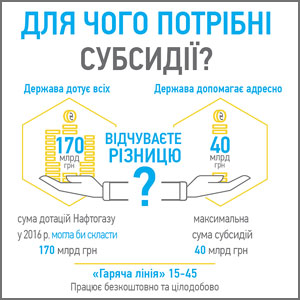 Інфографіка: Для чого потрібні субсидії?