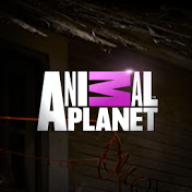 Animal Planet