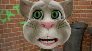 Talking Tom partner