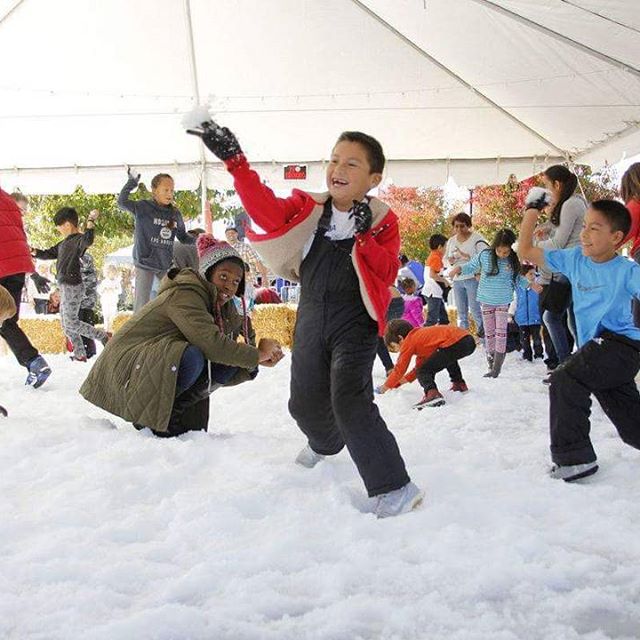 Children play in the snow area during Snow Day in American Canyon on Saturday. 
Photo by Maria Sestito/Register
#nvrshots #napavalley #napa #winter #christmas #americancanyon #amcan #snowday #snow #snowballs #fakesnow #children #kids