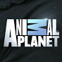 Animal Planet