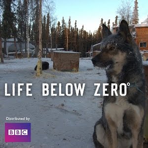 Life Below Zero