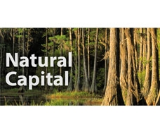 Natural Capital