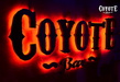 Coyote / Койот