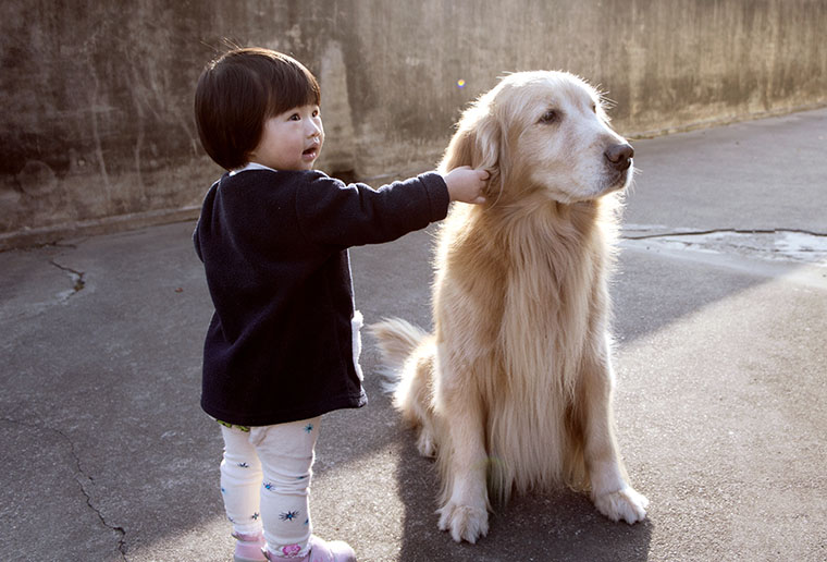 Kiddos & doggos