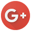 Google+ icon