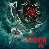 The Strain