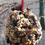 Homemade-Pine-Cone-Bird-Feeder-for-Children