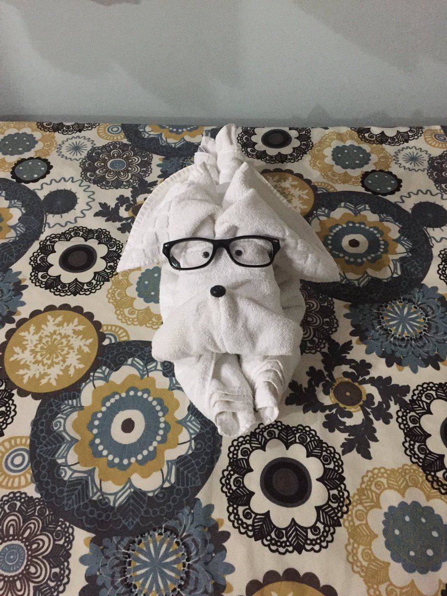 When your hotel towels are wearing your glasses 