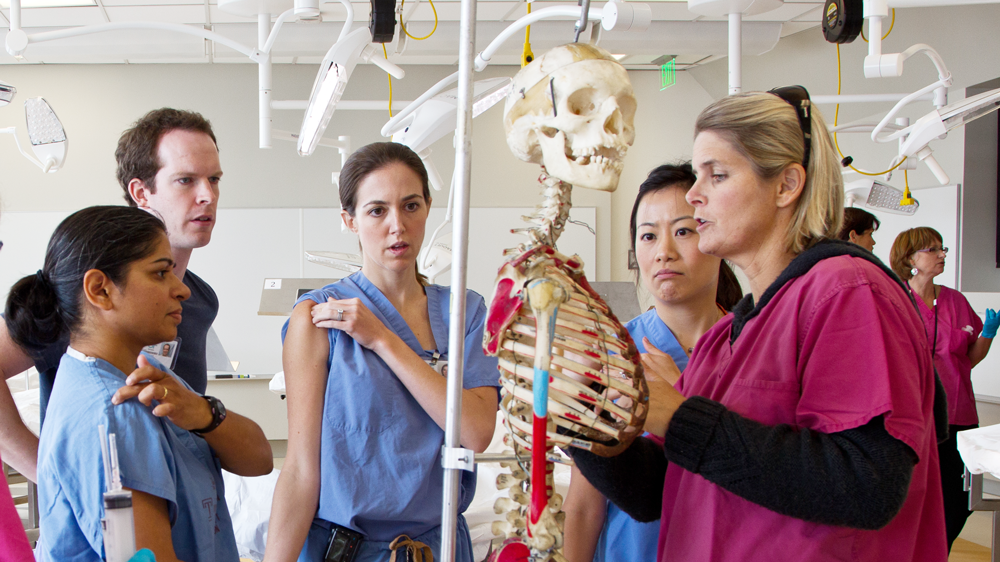 Students learn about the human skeleton in the UCSF Anatomy Lab