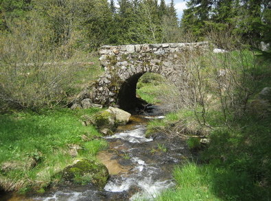 TMT3495 : Steinbrcke am Muchenlnder Weg by Richard Peschtrich