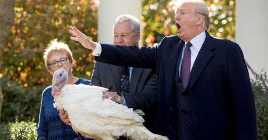 After calling troops overseas, Trump says he's thankful for himself this Thanksgiving - U.S. News - Haaretz.com