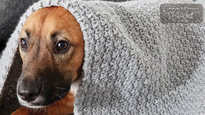 Crochet Dog Blanket