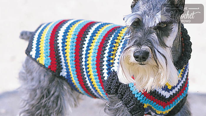 Crochet Dog Coat