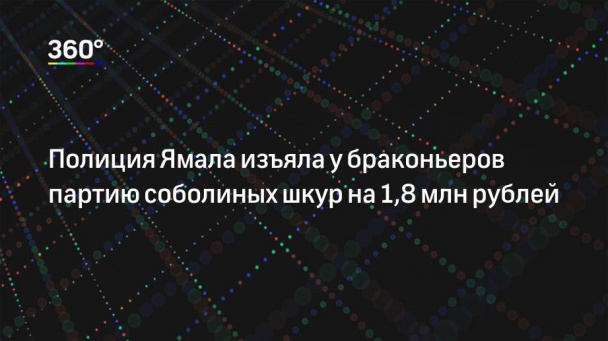 Полиция Ямала изъяла у браконьеров партию соболиных шкур на 1,8 млн рублей