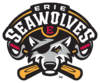 Erie SeaWolves new logo.png