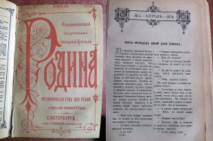   "Наши воробьи на пальмах Каира". О чем писала "Родина" в апреле 1879 года 