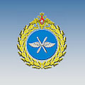 Центральный научно-исследовательский институт Военно-воздушных сил Министерства обороны Российской Федерации