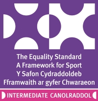 intermediate standards