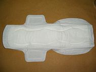 Disposable sanitary napkin