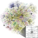 Map of the Internet
