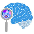 Brain Research through Advancing Innovative Neurotechnologies (BRAIN)® Initiative Investigators Meeting