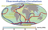 World map with colored, directed lines showing how water moves through the oceans. Cold deep water rises and warms in the central Pacific and in the Indian, whereas warm water sinks and cools near Greenland in the North Atlantic and near Antarctica in the South Atlantic.