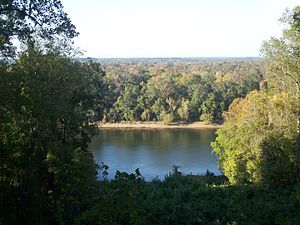 Torreya Park Bluffs02.jpg