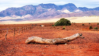 Ikara-Flinders Ranges National Park 04.jpg